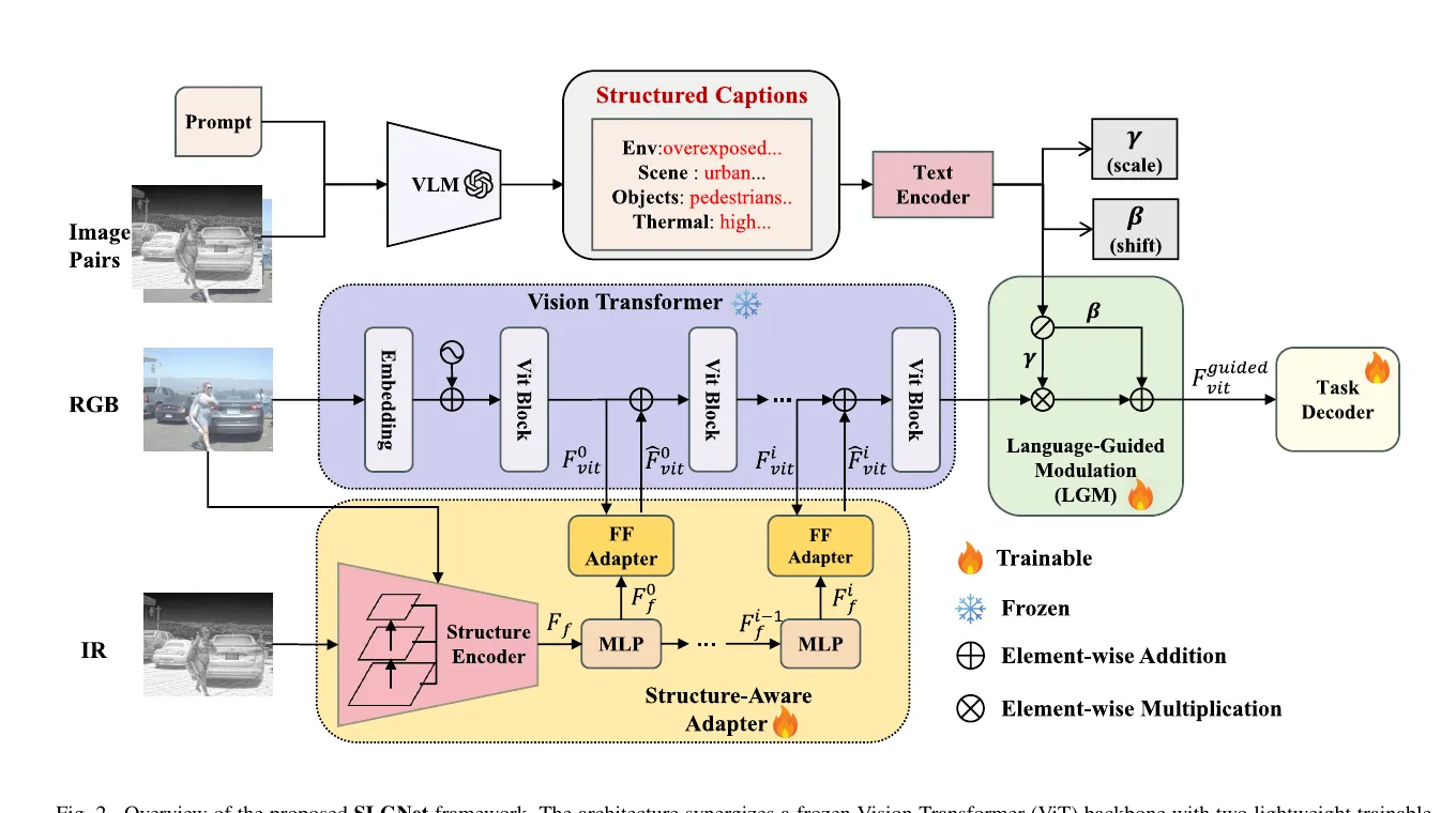 图2 SLGNet 总体框架。底部是结构先验注入路径，右侧是语言引导调制路径。